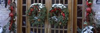 Christmas Wreaths on Doors Fine Art Print