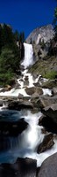 Yosemite Park, Vernal Falls, California Fine Art Print