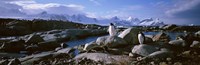 Penguins on Peterman Island Fine Art Print