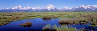 Grand Teton Park, Wyoming (color) Fine Art Print