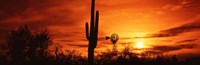 Sonoran Desert Sunset, Arizona Fine Art Print