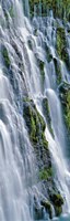 Burney Falls, McArthur-Burney Falls Memorial State Park, California Fine Art Print