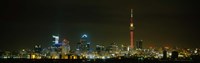 Sky Tower, Auckland, New Zealand Fine Art Print