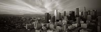 Los Angeles, California (black & white) Fine Art Print