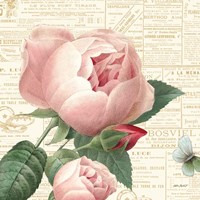 Roses in Paris V Framed Print