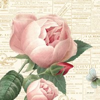 Roses in Paris V Fine Art Print