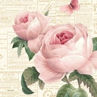 Roses in Paris VI Fine Art Print