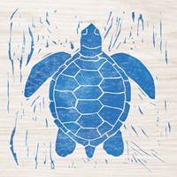 Sea Creature Turtle Blue Fine Art Print
