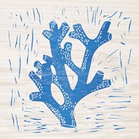 Sea Creature Coral Blue Framed Print