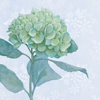 Blue Hydrangea I Crop Fine Art Print