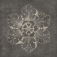 Rosette V Gray Fine Art Print