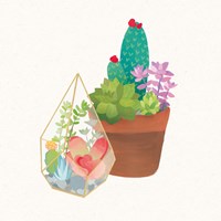 Succulent Garden I Fine Art Print