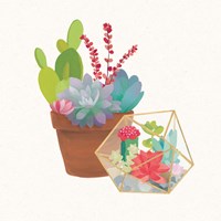 Succulent Garden II Fine Art Print