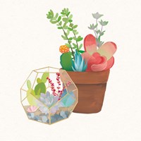 Succulent Garden III Fine Art Print