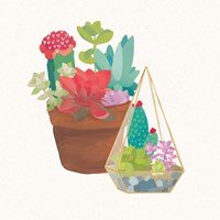 Succulent Garden IV Fine Art Print