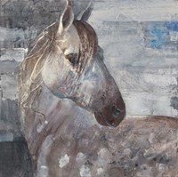 Appaloosa Fine Art Print