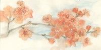 Peach Blossom I Fine Art Print