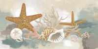 Marine Tableau I Fine Art Print