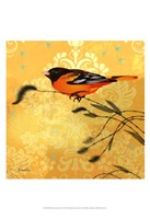 Oriole & Cartouche I Fine Art Print