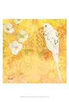 Budgie & Cartouche I Fine Art Print