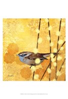 Wren on Yellow I Framed Print