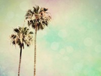 Palm Trees I Fine Art Print