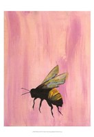 Pollinators II Framed Print