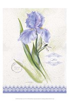 Flower Study on Lace VII Fine Art Print