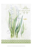 Flower Study on Lace IX Fine Art Print