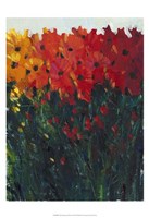 Color Spectrum Flowers I Framed Print