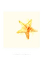 Tidal Impressions III Fine Art Print