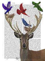 Deer & Birds Nests Framed Print
