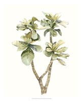 Tropical Watercolor Leaves III Fine Art Print