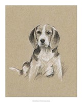 Breed Sketches I Framed Print