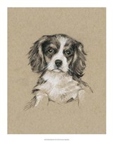 Breed Sketches III Framed Print