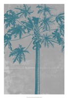Chromatic Palms VIII Fine Art Print