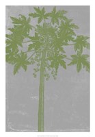 Chromatic Palms IX Fine Art Print