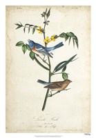 Delicate Bird and Botanical IV Framed Print