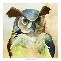 Harlequin Hibou II Fine Art Print