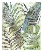 Layered Palms I Fine Art Print