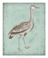 Sepia & Spa Heron I Fine Art Print