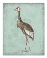 Sepia & Spa Heron II Fine Art Print