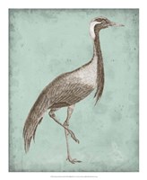 Sepia & Spa Heron III Fine Art Print