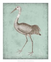 Sepia & Spa Heron IV Framed Print