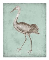 Sepia & Spa Heron IV Fine Art Print