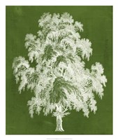 Modern Arbor II Framed Print