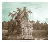 Serene Trees V Fine Art Print