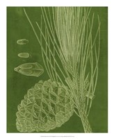 Modern Pine I Fine Art Print