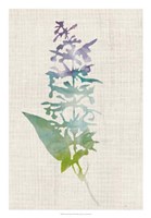 Watercolor Plants I Fine Art Print