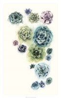 Succulent Cluster I Fine Art Print